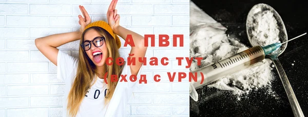 амф Горняк