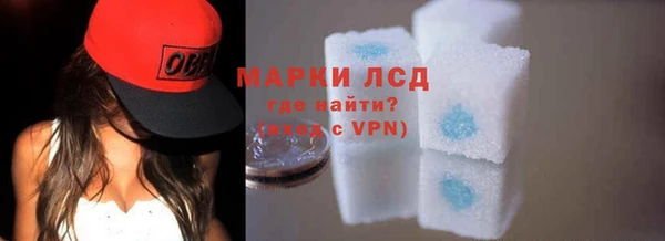 амф Горняк