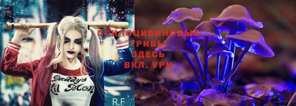 бутират Горнозаводск