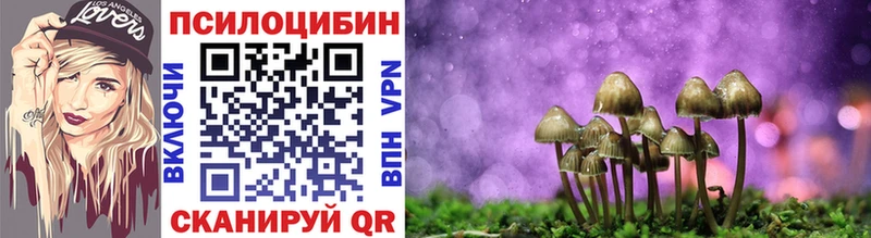 Псилоцибиновые грибы MAGIC MUSHROOMS  Купить где  Болхов 